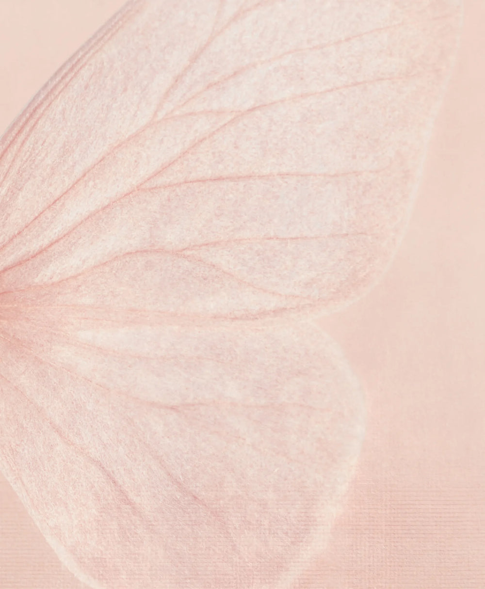 Macro · the underside of the wing